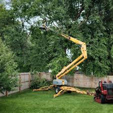 Best Aeration Services  in Jourdanton, TX